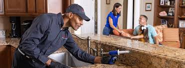 Best Real Estate Pest Inspections  in Morenci, MI